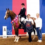 Rabi's Promise Regional Dressage Champion Training, First Level owned by Nancy Baker