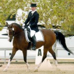 Rabi's Promise showing in Second Level at Sport Horse Nationals, won Top Ten and Third